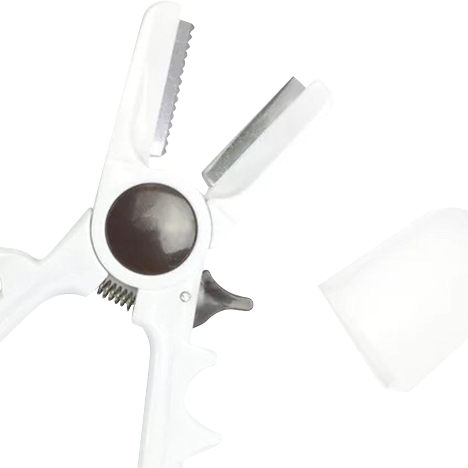 Manual Chestnuts Cracker Tool  - огляд і ціна Dried Fruit