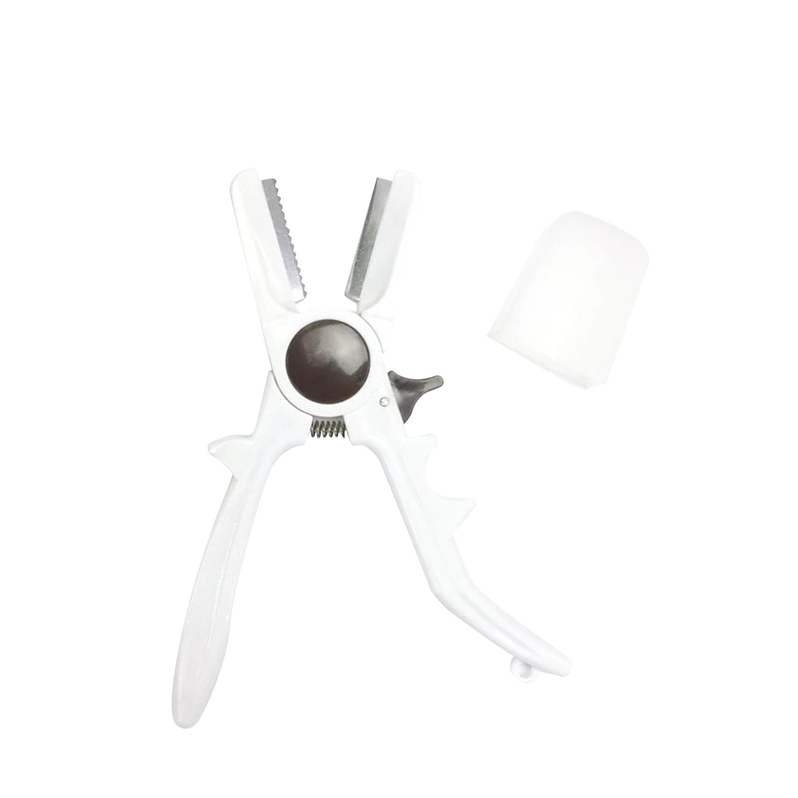 Manual Chestnuts Cracker Tool  - огляд і ціна Dried Fruit